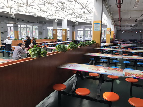 绿化.jpg 绿化.jpg